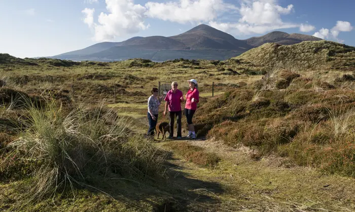 Walkers and a dog on a dune path through Murlough Nature Reserve, the Mournes behind them